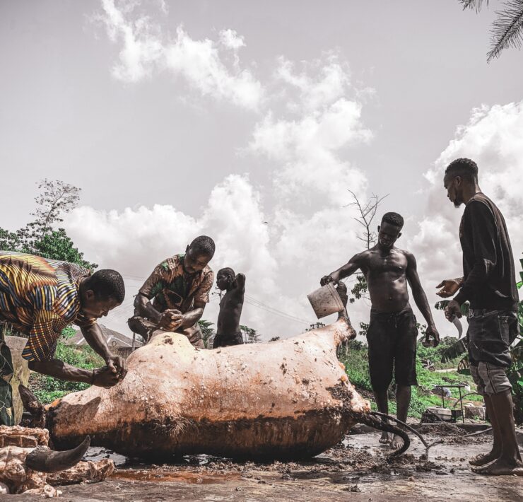 Photo of people standing near animal